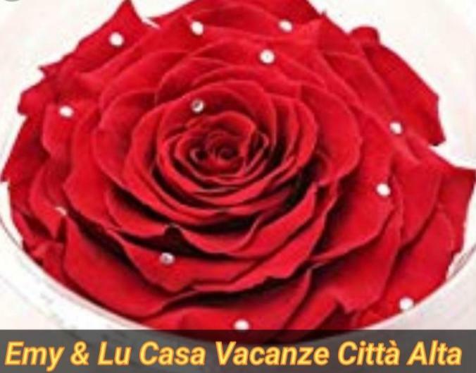 Dom wakacyjny Emy & Lu Casa Citta' Alta *